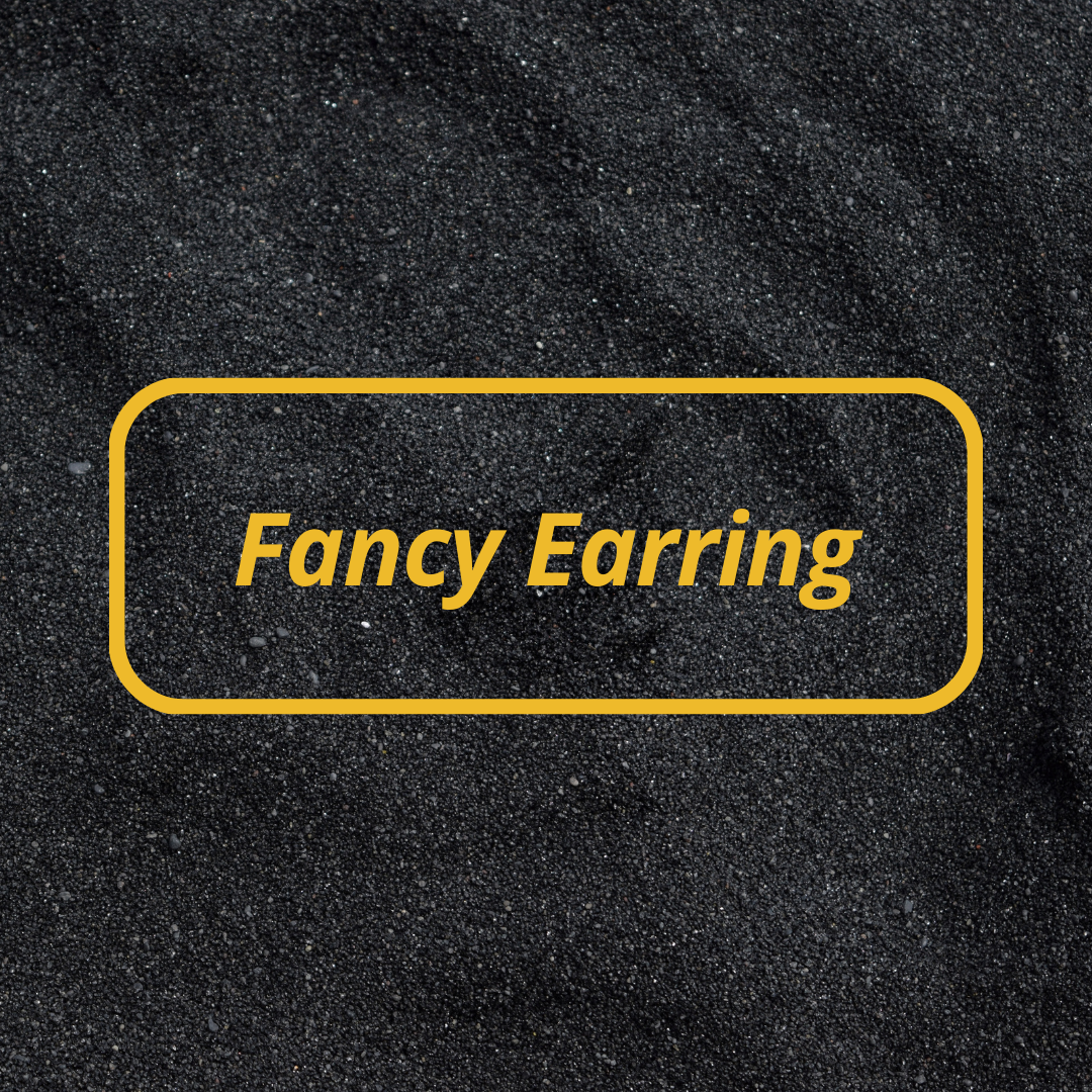 Fancy Earring